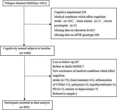 The Relationships Between Lipid Accumulation Product Levels and Cognitive Decline Over 4 Years in a Rural Area of Xi’an, China